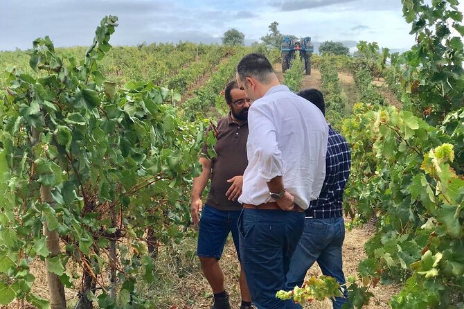 Unveiling Wine Secrets: Exclusive Tour With the Winemaker - Exclusive Wine Experience Details