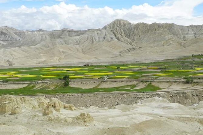 Upper Mustang Jeep Tour | Nepal Tour - Price Details