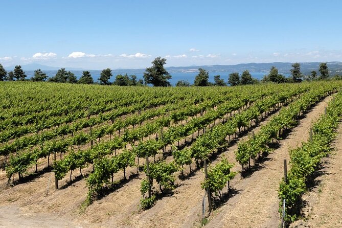 Valle Del Lago Ebike Tour With Food & Wine Tasting Experience - Experience Overview