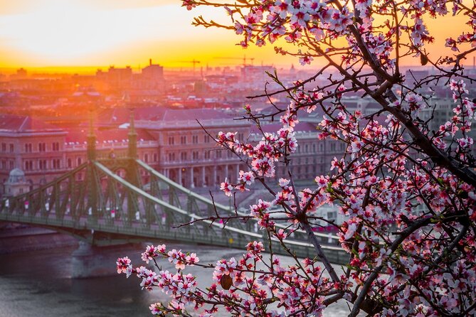 Vienna to Budapest - Private Transfer With 2h of Sightseeing - Flexibility Options