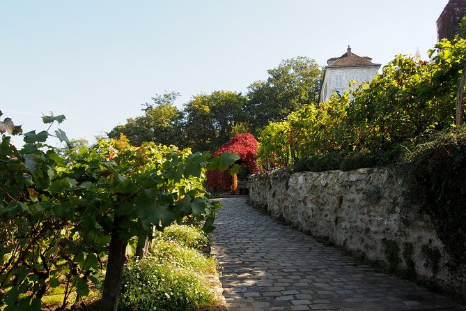 Vineyard Visit and Wine Tasting in Clos Montmartre - Pricing and Policies