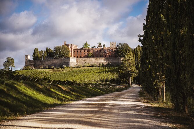 Wine and Cooking Under the Tuscany Sun - The Sum Up