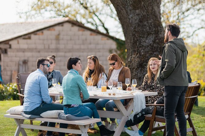 Wine and Oysters Private Guided Experience in Lim Bay - Availability and Booking Process