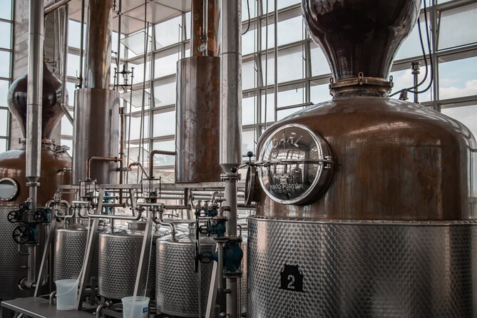 Wine and Pisco Experience From Ica or Huacachina - Customer Reviews and Feedback