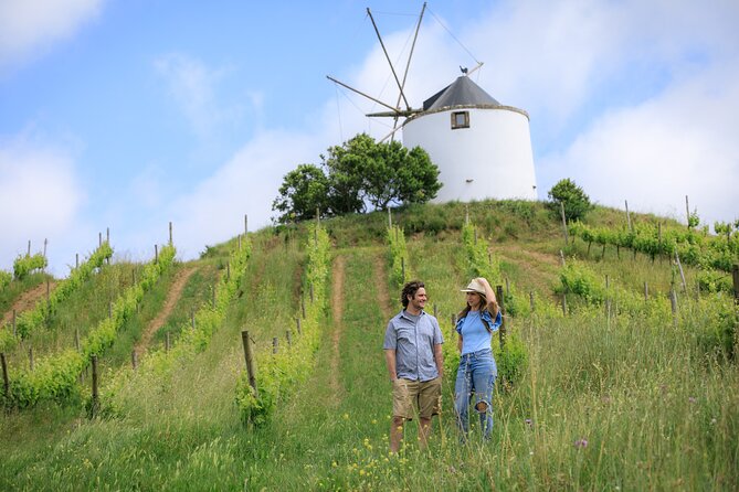 Wine Tasting and Photo Shoot at a Lisbon Winery - Additional Information