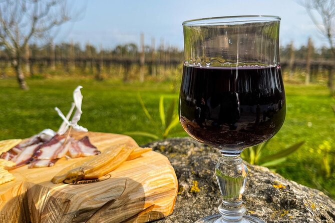 Wine Tasting With Local in the Vineyard in Alghero - The Sum Up