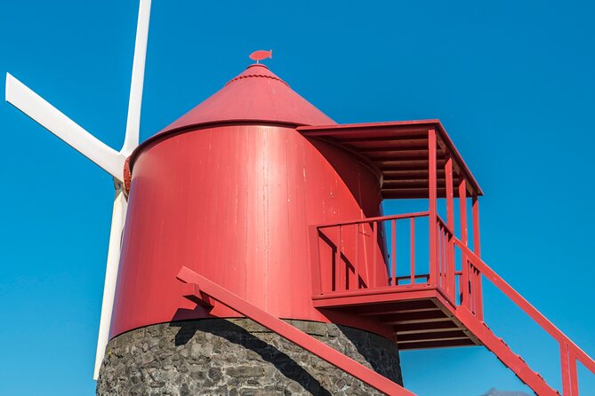 Wine Tour in Pico Half Day - Traveler Information