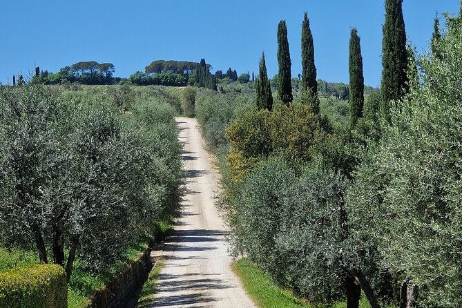 Wine Tours Chianti Classico All Inclusive Lunch & Wines 4 Hours - Price and Guarantee