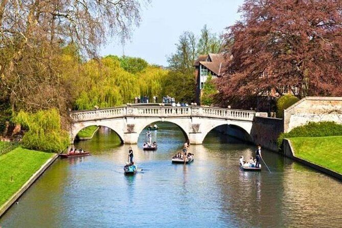 Wonderful Westminster Private Walking Tour & Visit Windsor Castle - What to Expect