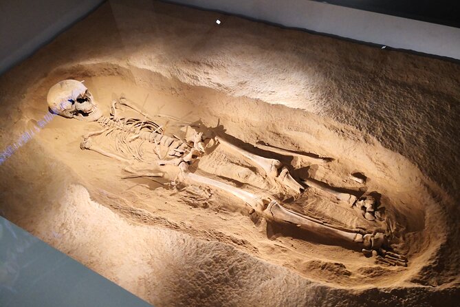 Xian History Study To Terracotta Army&Shaanxi Archaeology Museum - Children Policy and Weather Conditions