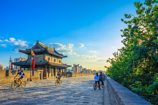 Xian Private Full Day Tour - Additional Info