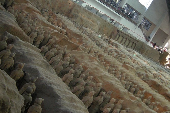 Xian Terracotta Warriors Museum and Xianyang Airport (XIY) Drop off Day Tour