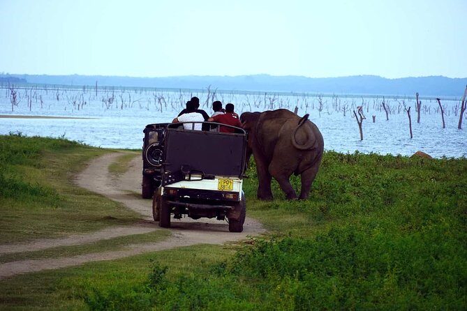 Yala Jeep Safari Tour From Yala - Directions Heading 2