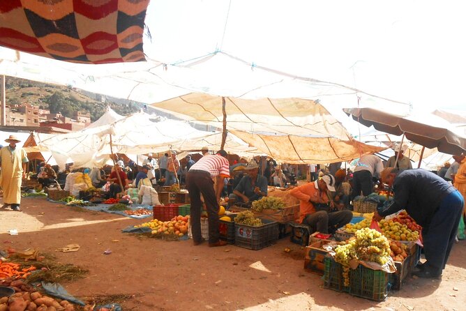 Zat Valley and the Atlas Mountain Private Day Trip From Marrakech With Lunch. - Contact and Support