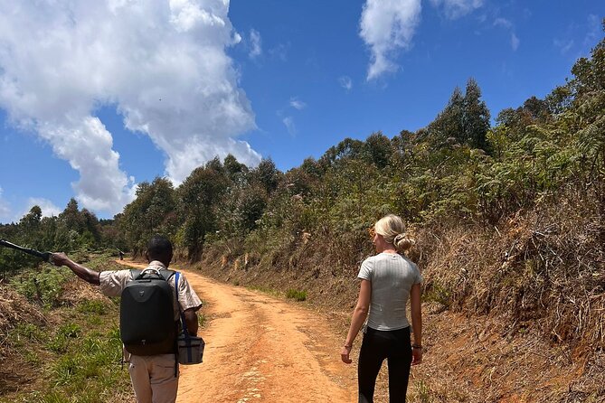 Zomba Plateau Day Hike Tour - Cancellation Policy
