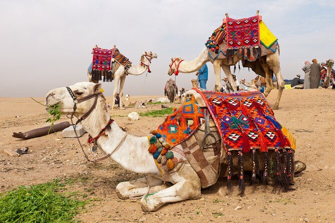 8-Days Luxury Egypt Budget Price,Pyramids,Red Sea,Luxor Tours & Plane From Cairo