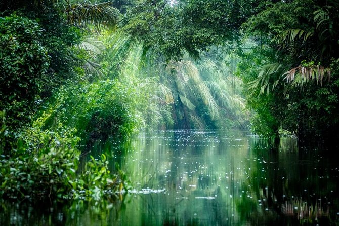 8 Days Nature Lovers in a Costa Rican Gay Tour Program - Accommodations and Meals