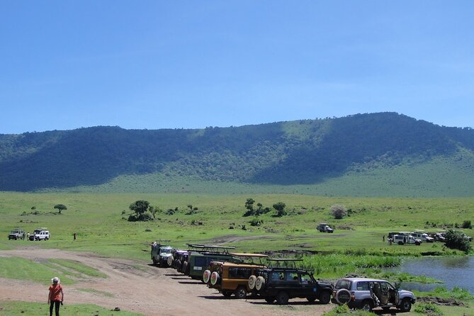 8-Days Private Luxury Safari: Tarangire, Serengeti & Ngorongoro - Good To Know
