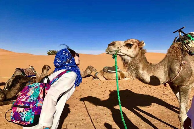 8 Days Trekking in the Moroccan Desert From Marrakech - Good To Know
