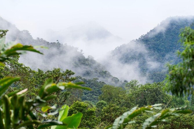 8 Hours Mindo Cloud Forest Tour From Quito Includes Lunch - Good To Know
