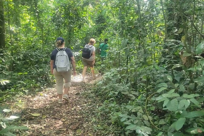1 Day Jinja & Source of the Nile River Tour (Female Guided) - Tour Highlights