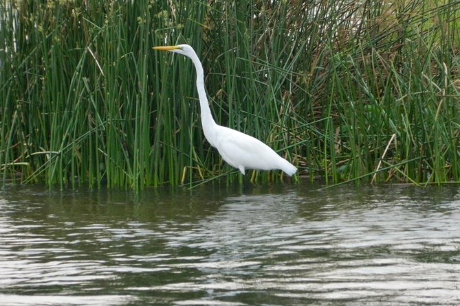 1 Day Lake Mburo Nature Safari Holiday Tour - Location Highlights
