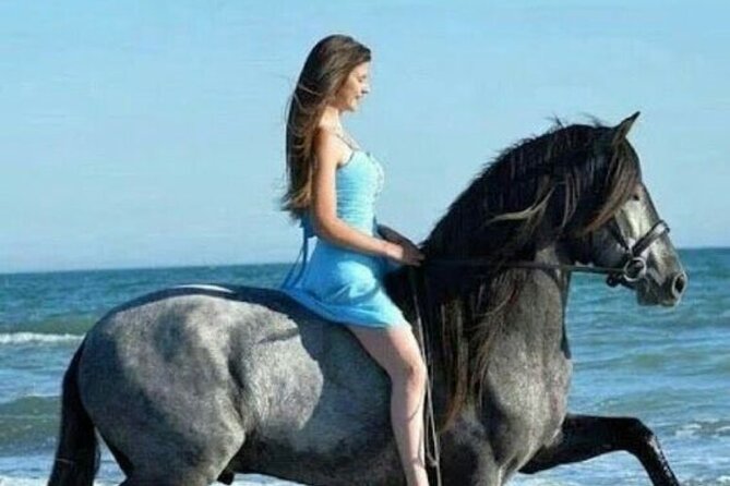1-Hour Horse Ride Adventure in Sharm El-Sheikh - The Sum Up