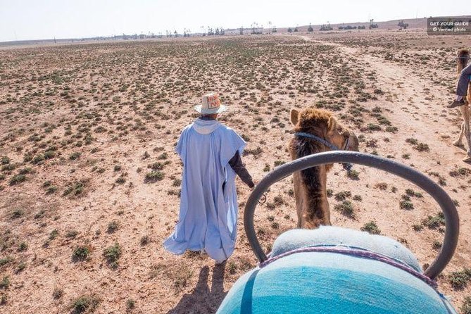 1 Hour Riding Camel in Palmeraie Marrakech, Ride Camel in Palmeraie Marrakech - Meeting Point