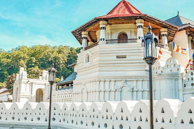 10 Days All Inclusive Tour Exploring Natural Beauty of Sri Lanka - The Sum Up