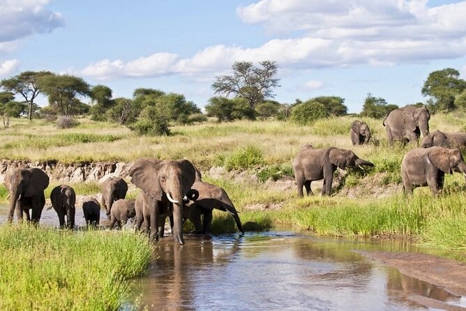 10-Days Private Luxury Safari: Serengeti, Ngorongoro & Materuni - Transportation and Logistics
