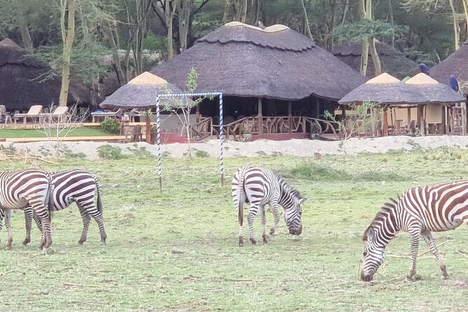 11-Day Private Lake Hopping Tour in Safari - Accommodation Details