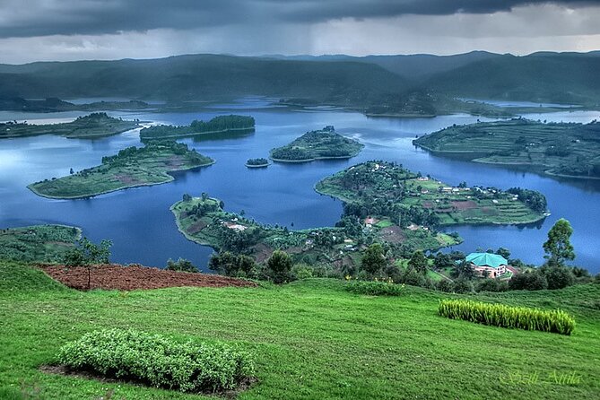 11 Days Classic Wildlife Of Uganda Tour - Cancellation Policy