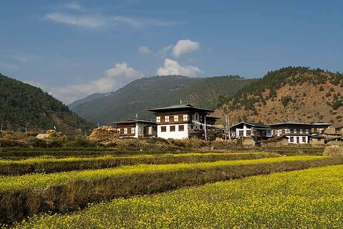 12 Days Jomolhari Trekking & Mountain Festival Tour in Bhutan - Accommodation Details