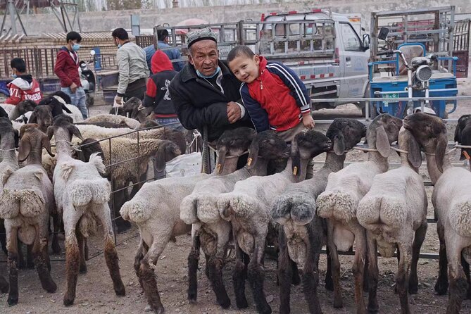 17-Day Guided Tour in Silk Road China - Accommodations and Meals