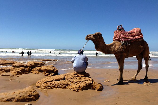 2 Activity in Some Day in Agadir Camel Ride & City Tour Agadir - Pickup and Transportation
