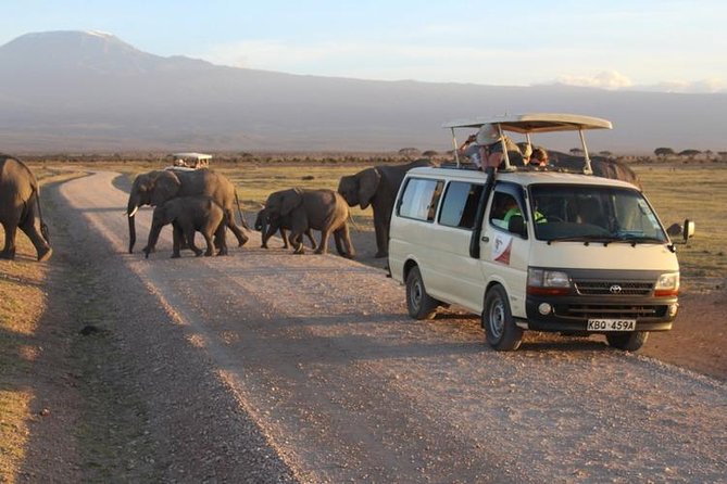 2-Day Amboseli National Park Safari From Nairobi