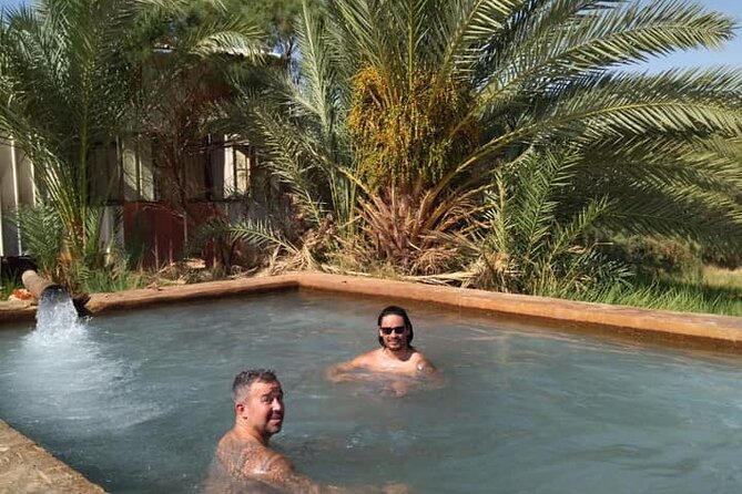 2-Day Camping Tour in the Bahariya Oasis With Private Transfer - Itinerary Overview