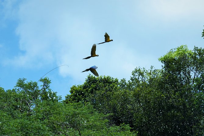 2-Day Camping Tour to Pacaya-Samiria National Park From Iquitos - Meeting and Pickup Details