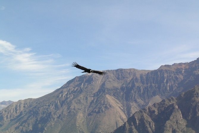 2-Day Colca Canyon Tour With Optional Transfer to Puno - Pricing and Booking Information