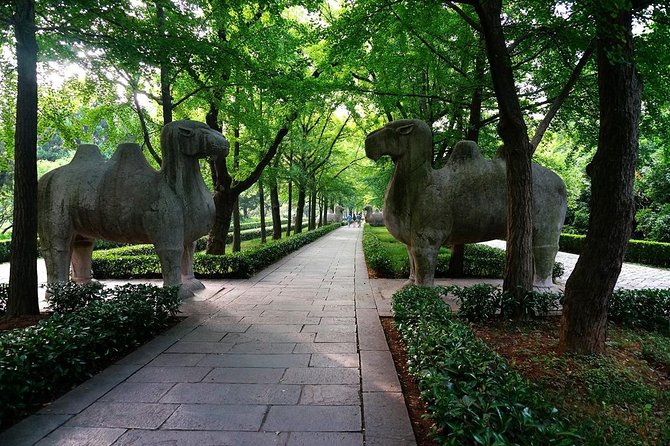 2-Day Nanjing Private Flexible Tour With Tangshan Hot Spring Spa Experience