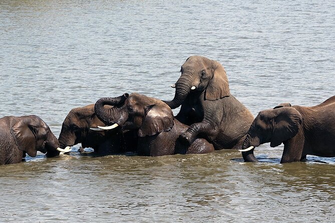 2 Day Small Group Garden Route Big 5 Safari Tour From Cape Town - Accommodation Details