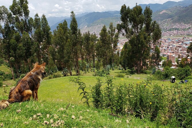2 Days 1 Night Horseback Tour to Huchuy Qosqo - The Sum Up