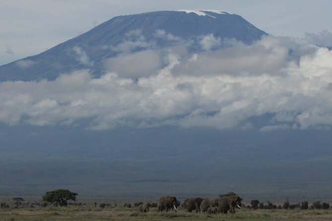 2 Days Amboseli Express Deluxe Tours - Pickup Information