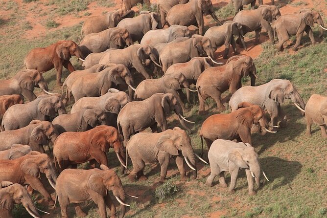 2 Days Taita Hills Conservancy Tour - Cancellation Policy