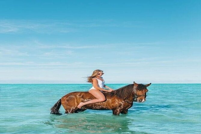 2 Hours : Horse Riding Along Hurghadas Beach and Desert. - Pickup Information
