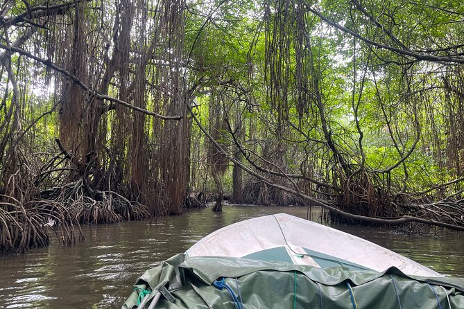 2h Private Bentota River Safari Tour With Pickup - Inclusions