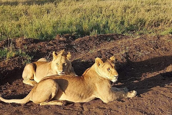 3 Day Northern Circuit Tarangire Park and Lake Manyara Tour