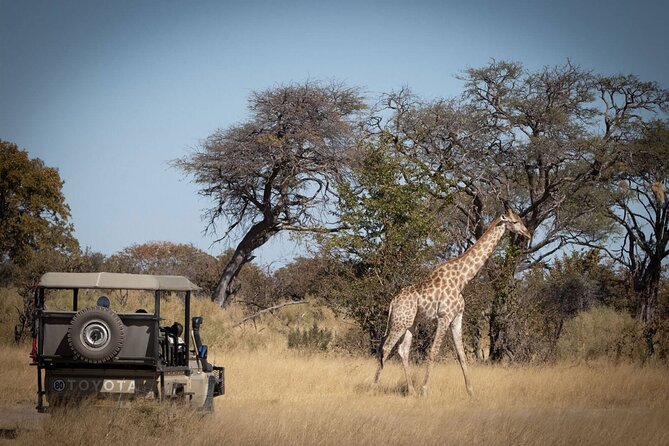 3-Day Okavango Delta & Boteti River Tented Safari - Important Considerations