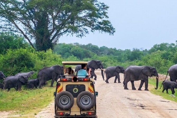 3-Day Safari in Queen Elizabeth National Park Uganda From Kampala - Safari Activities Included