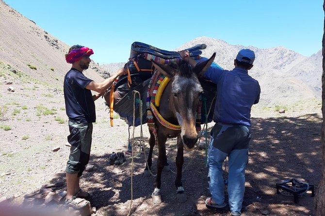 3-Day Trek in Atlas Mountains and Berber Villages & Valleys From Marrakech - Meals and Dining Experience